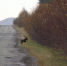 image - Жизнь района