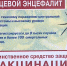 Об эпидемической ситуации по клещевым инфекциям и вакцинации против клещевого энцефалита - Кусинский район