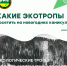 Новогодние каникулы – отличное время для путешествий! - Газета Жизнь района